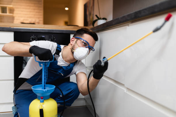 Best Mosquito Control Services  in Audubon, NJ