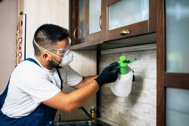 Pest Prevention Services in Audubon, NJ