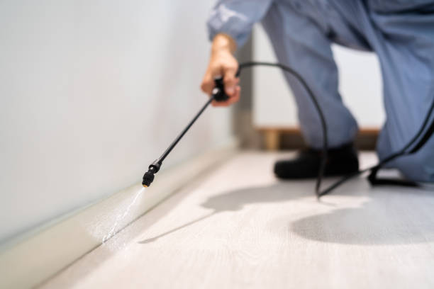 Best Commercial Pest Control Services  in Audubon, NJ