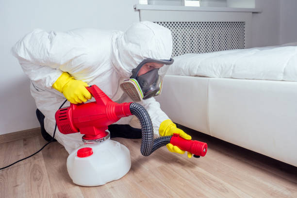 Best Affordable Pest Control Services  in Audubon, NJ