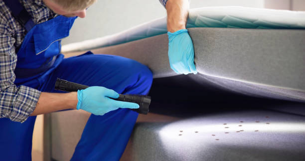 Best Cockroach Control Services  in Audubon, NJ