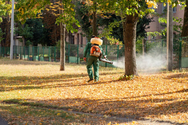 Best Cockroach Control Services  in Audubon, NJ
