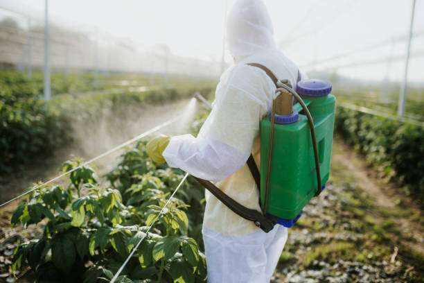 Best Best Pest Control Companies  in Audubon, NJ